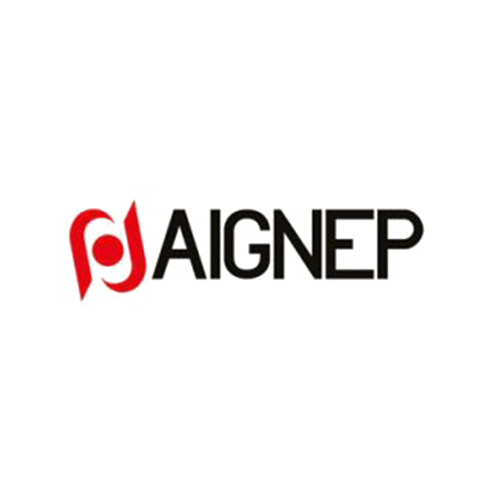Logo di Aignep