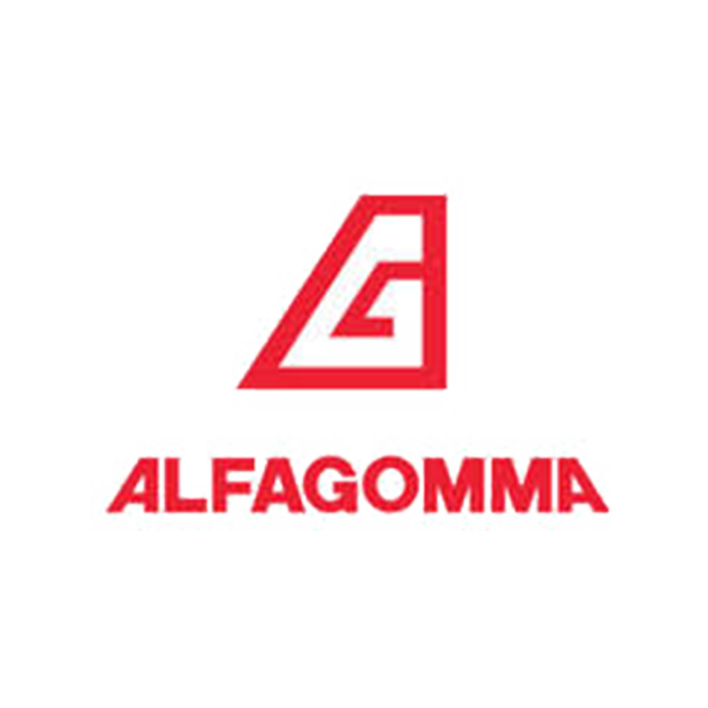 Logo di Alfagamma